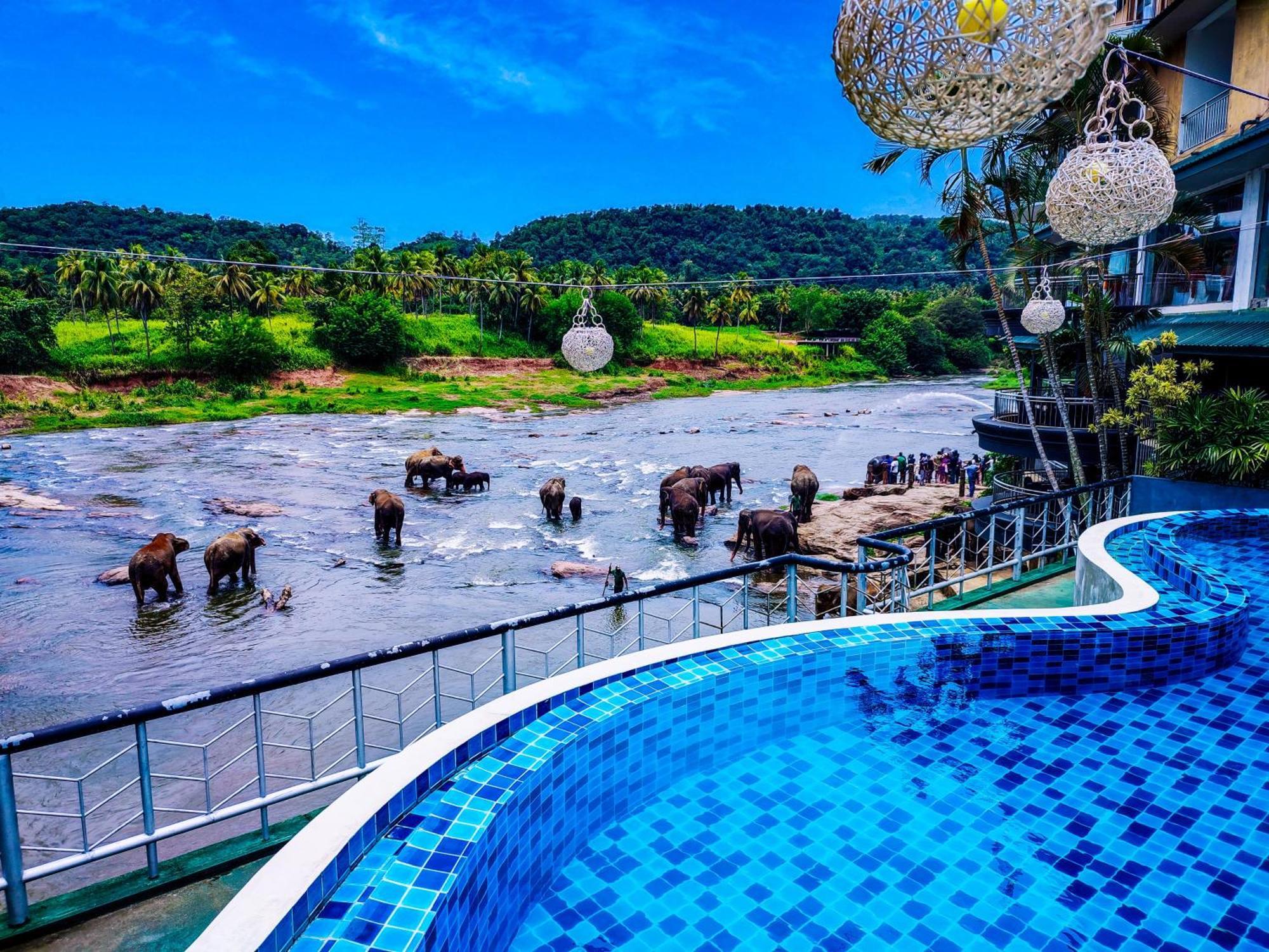 Peacock Village Pinnawala - Offer Alert! Elephant Welfare Program Εξωτερικό φωτογραφία